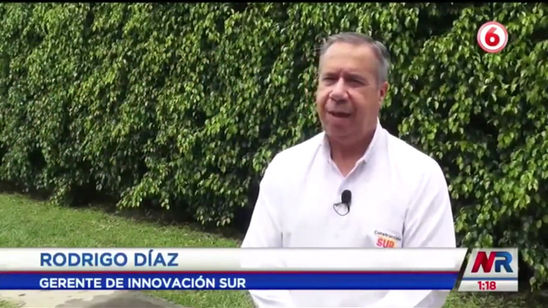 Techos Verdes